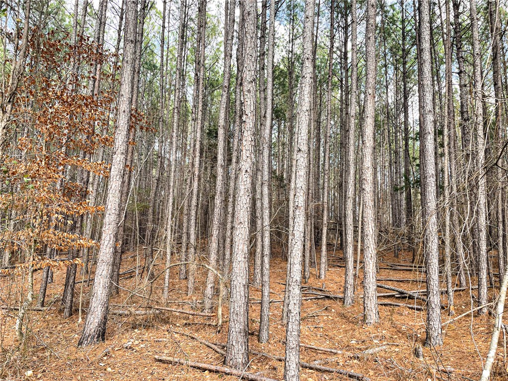 0 Lakeside Drive Union, SC 29379 - Photo 6 of 20