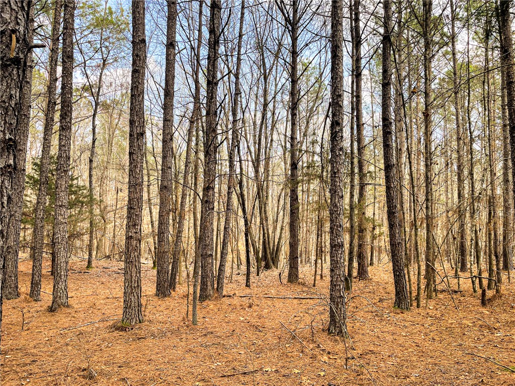 0 Lakeside Drive Union, SC 29379 - Photo 8 of 20