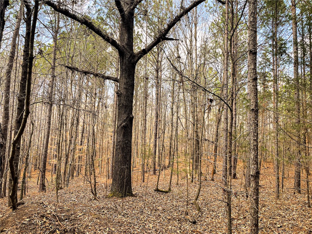 0 Lakeside Drive Union, SC 29379 - Photo 9 of 20