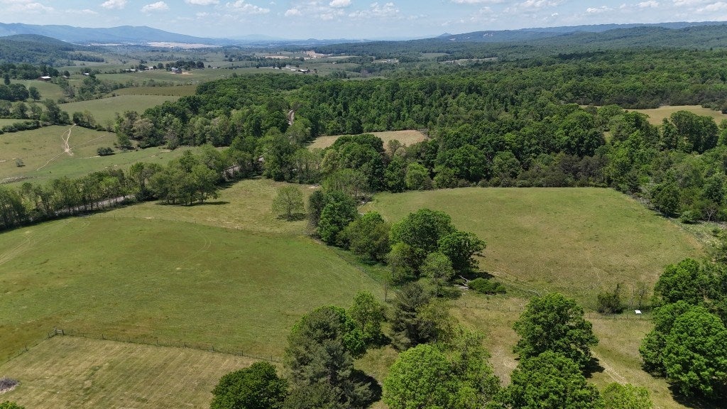 85-acre Coffey Road, Unit 1 & 2 Max Meadows, VA 24360 - Photo 4 of 25 Gallery Image 4