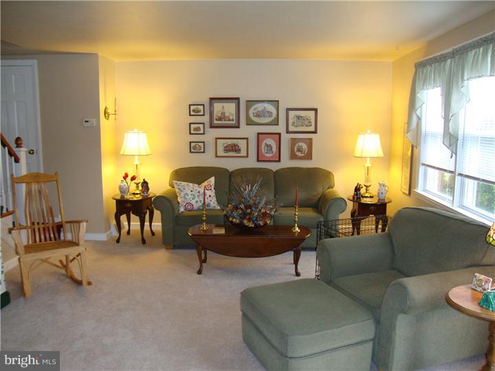 549 Scenic Road Springfield, PA 19064 - Photo 8 of 20 Living Room