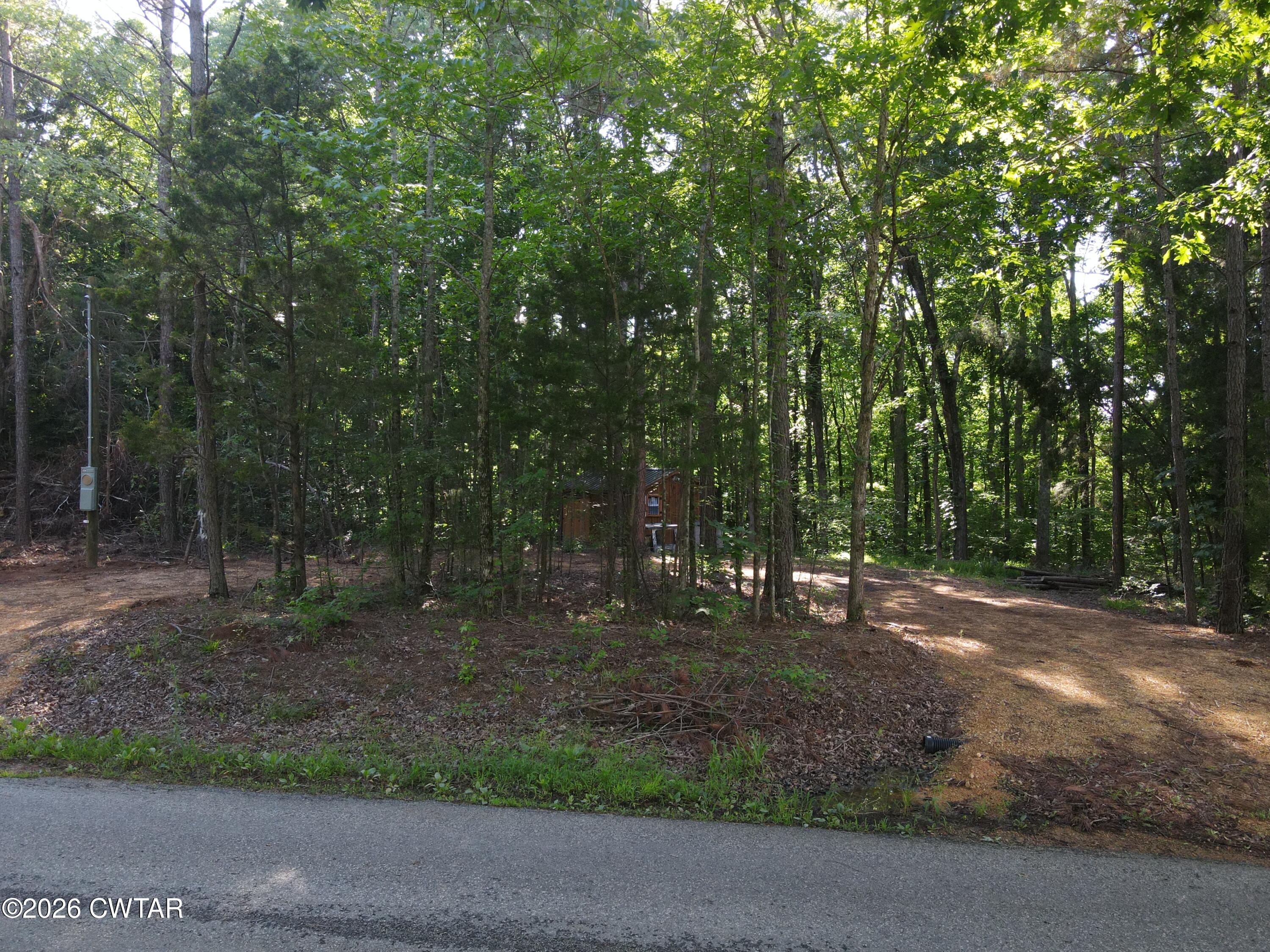 1782 Smith Chapel Road Decaturville, TN 38329 - Photo 3 of 22 a backyard of a house with lots of green space