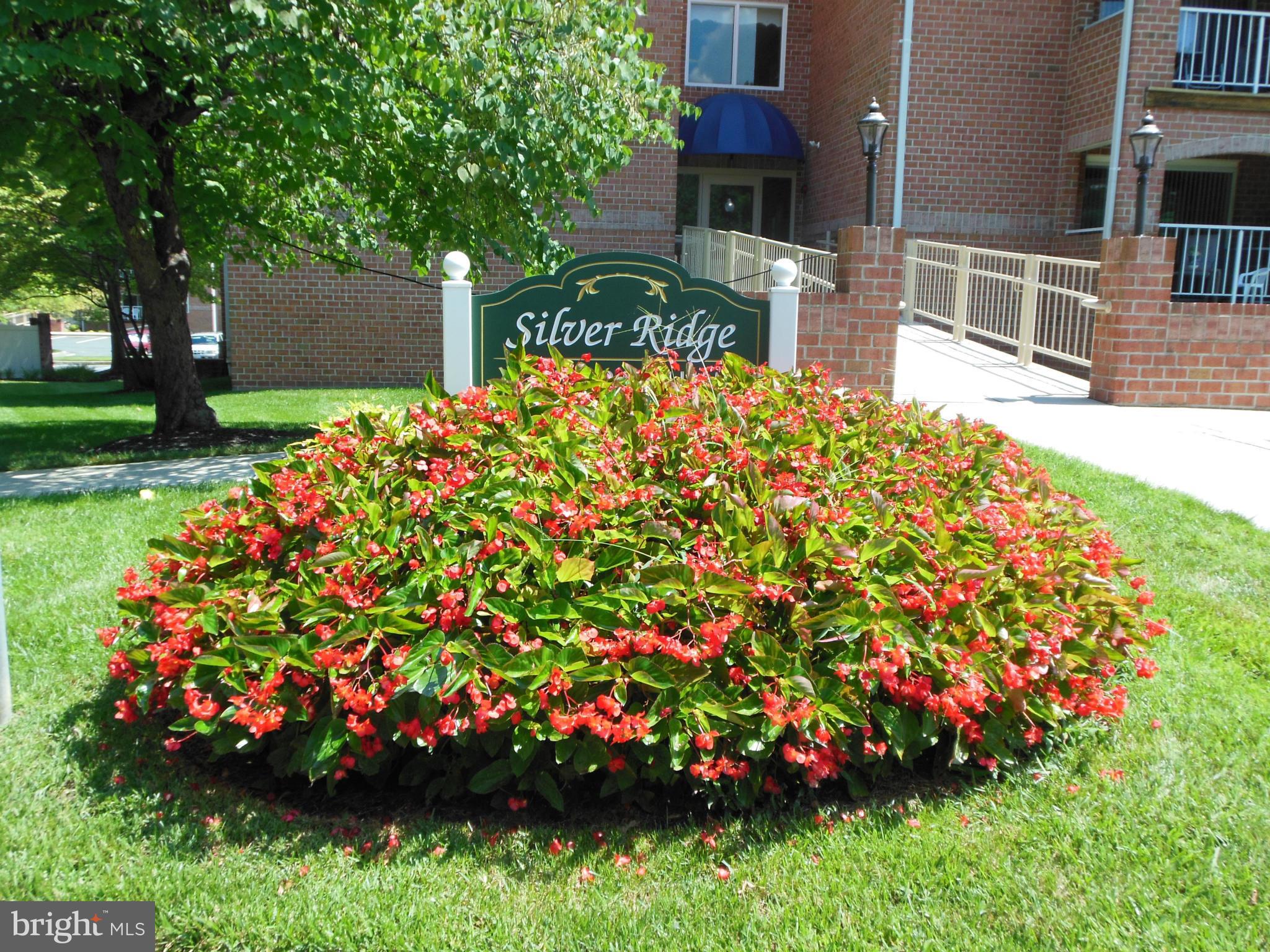 4100 Chardel Road, Unit 2A Baltimore, MD 21236 - Photo 1 of 24 View