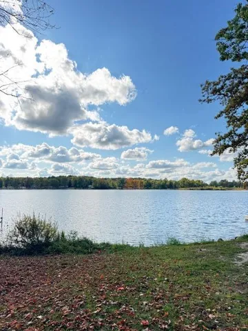 $225,000 | 14166 Hicks Lake Drive, Evart, MI 49631