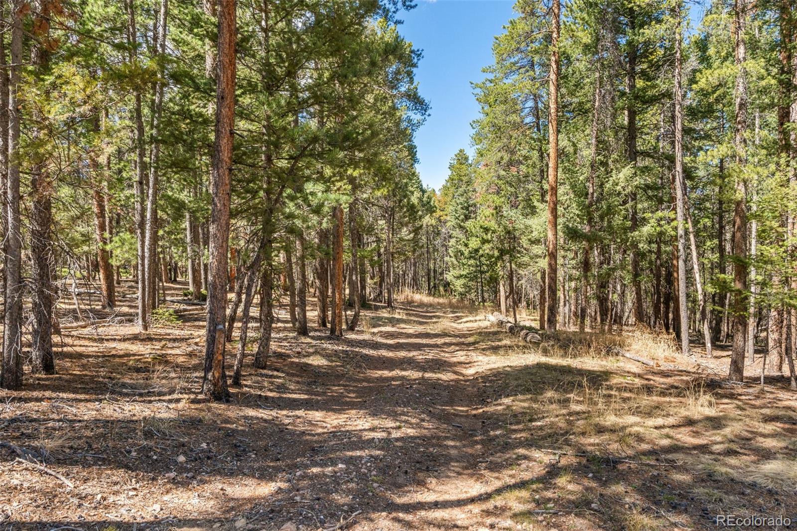 23550 Pleasant Park Road Conifer, CO 80433 - Photo 43 of 49