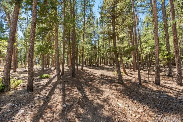 $1,170,000 | 23550 Pleasant Park Road, Conifer, CO 80433