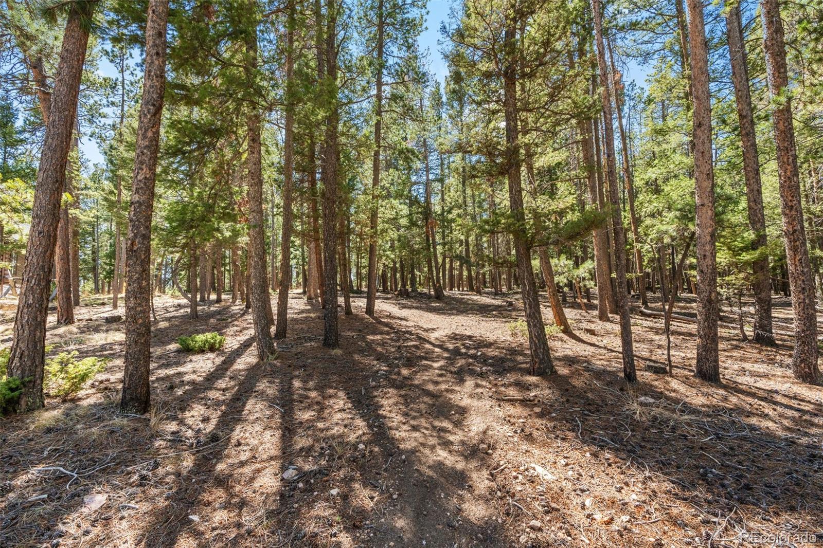 23550 Pleasant Park Road Conifer, CO 80433 - Photo 44 of 49