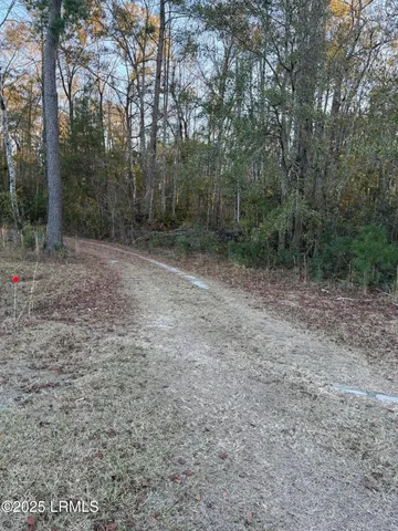 $96,000 | Tbd Shaffer Cor Road, Varnville, SC 29944