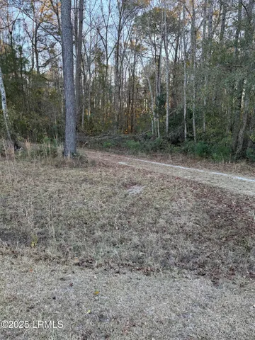 $96,000 | Tbd Shaffer Cor Road, Varnville, SC 29944