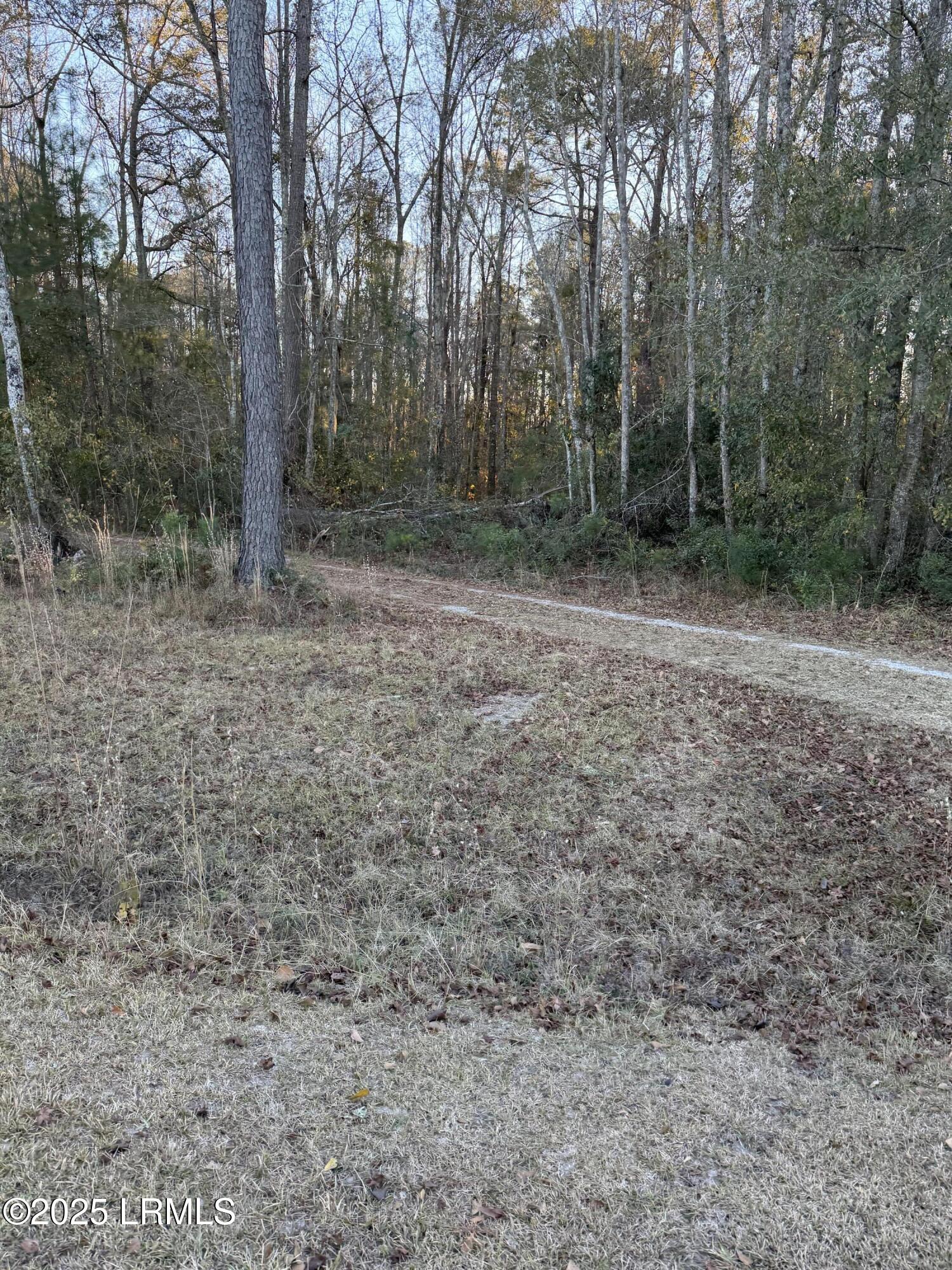 Tbd Shaffer Cor Road Varnville, SC 29944 - Photo 5 of 14 IMG_6559