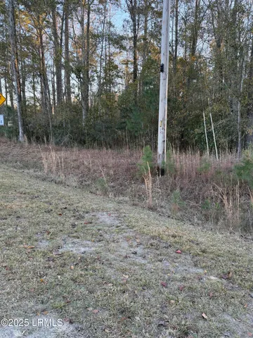 $96,000 | Tbd Shaffer Cor Road, Varnville, SC 29944