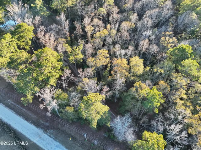 $96,000 | Tbd Shaffer Cor Road, Varnville, SC 29944