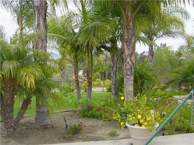 3122 Roadrunner Road San Marcos, CA 92078 - Photo 17 of 24 Nothing out of place, professionally landscaped and maintained