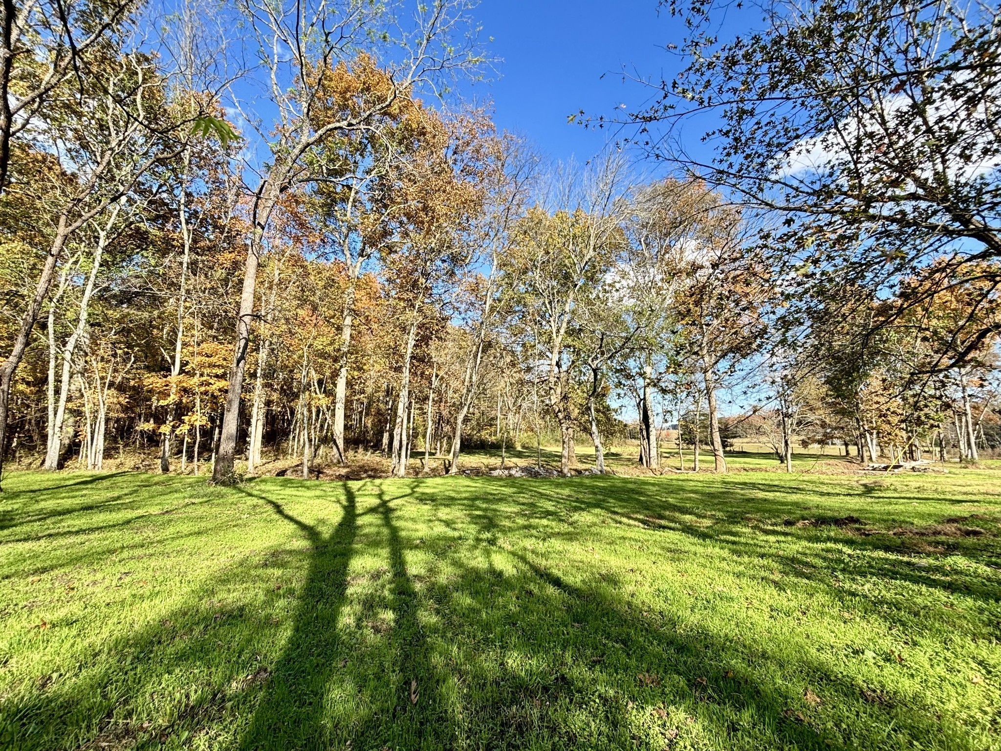 4740 Ash Hill Road Spring Hill, TN 37174 - Photo 68 of 82