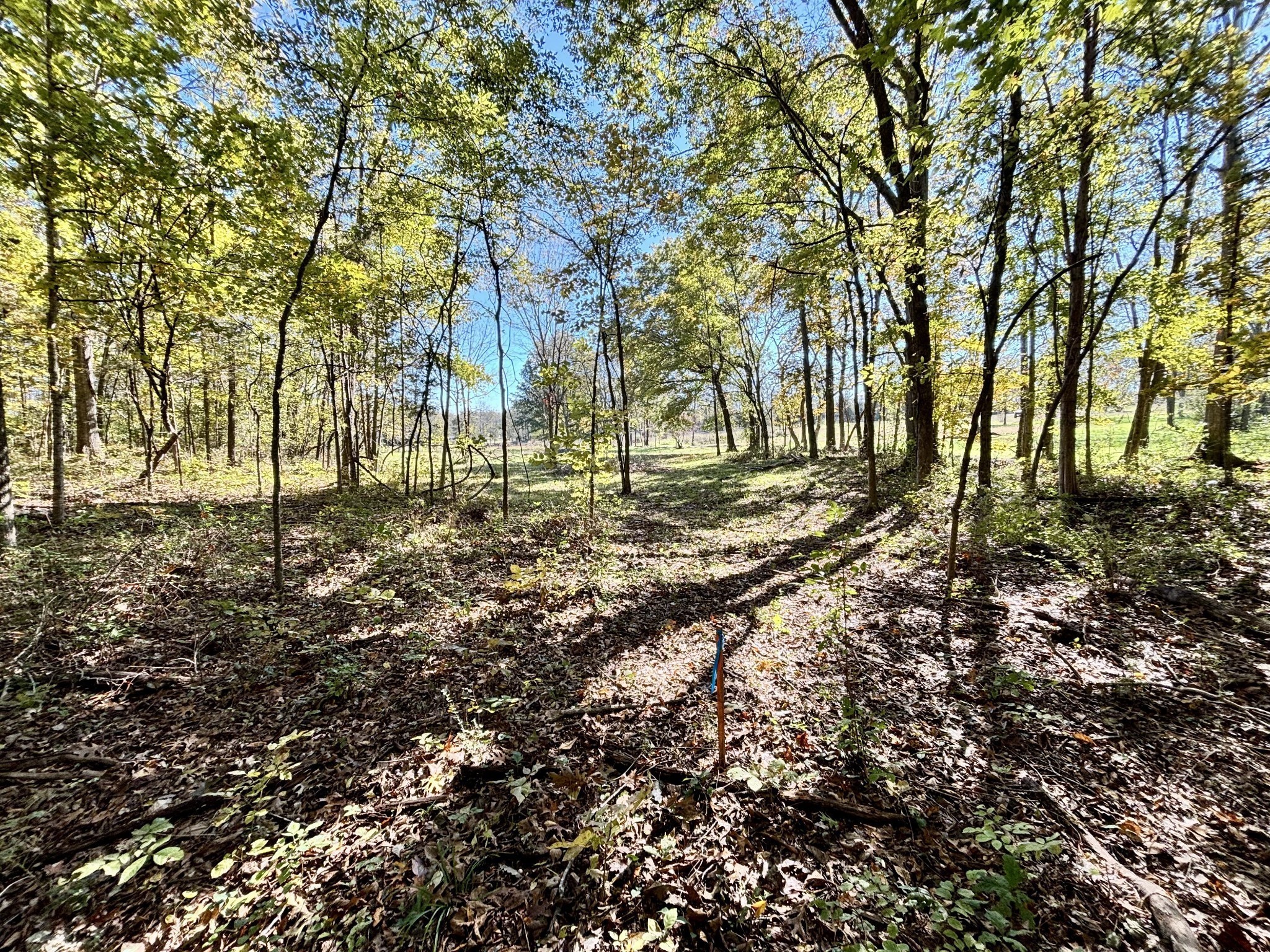 4740 Ash Hill Road Spring Hill, TN 37174 - Photo 73 of 82