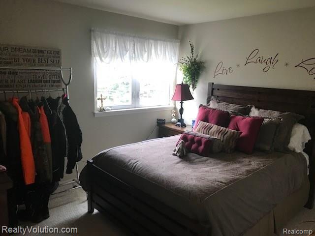 2413 Scott Road North Branch, MI 48461 - Photo 20 of 41 IMG_4189.jpg