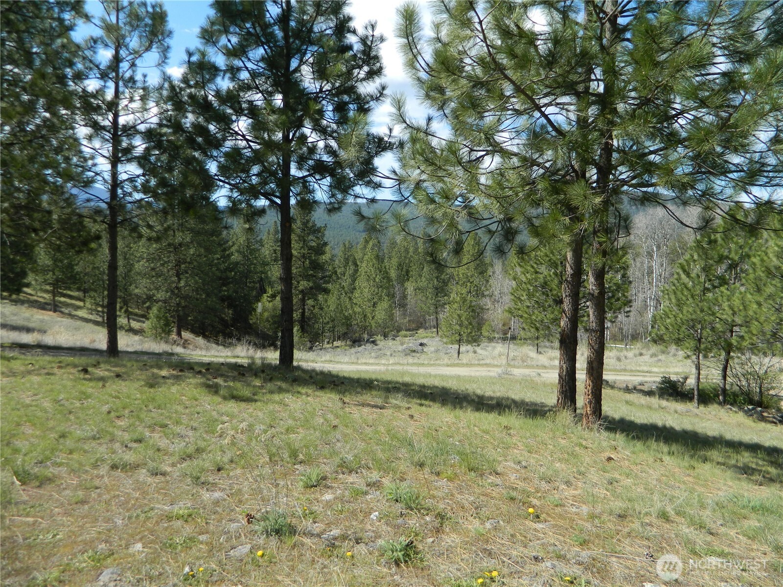 120 Sour Dough Creek Road Tonasket, WA 98855 - Photo 5 of 25