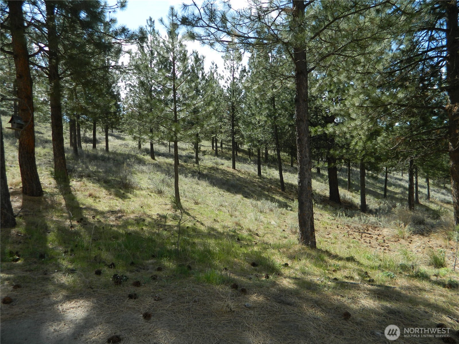 120 Sour Dough Creek Road Tonasket, WA 98855 - Photo 7 of 25
