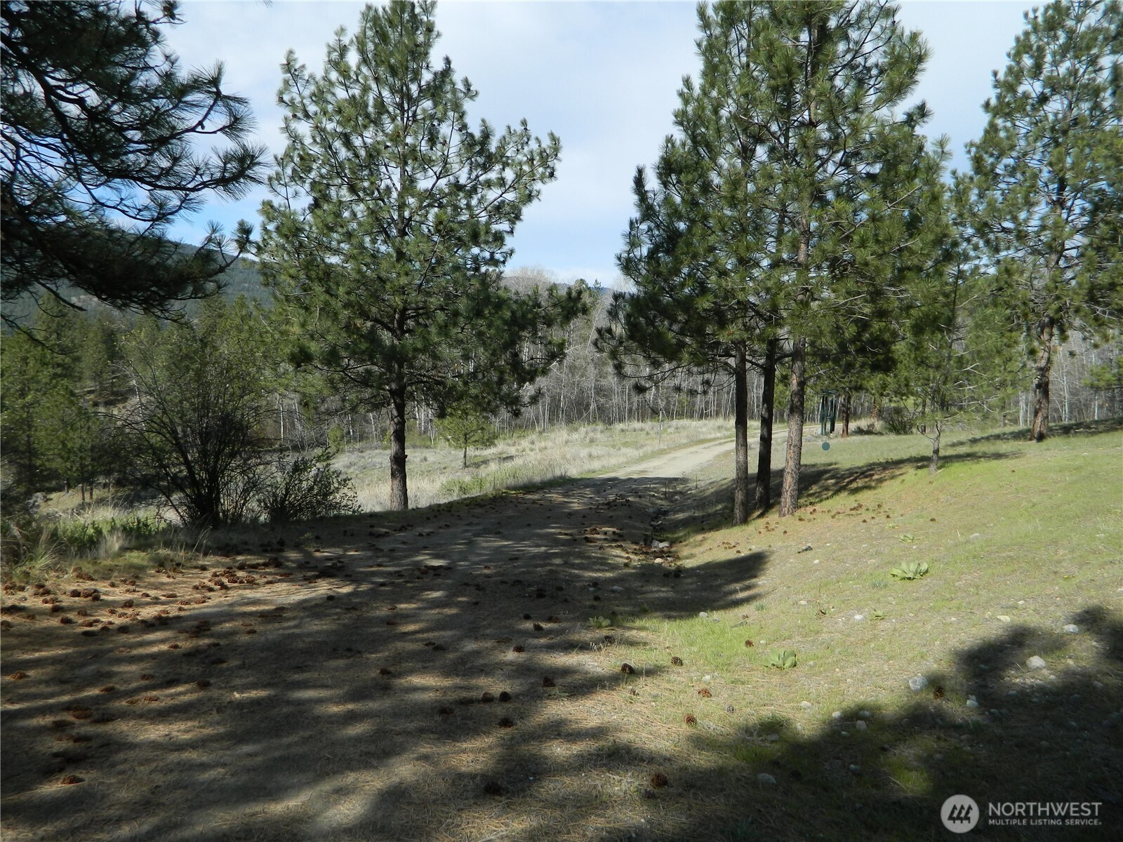 120 Sour Dough Creek Road Tonasket, WA 98855 - Photo 8 of 25