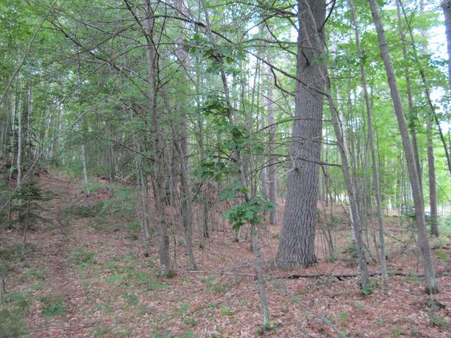 On Eagles Bluff Road, Unit LOT 1 Rhinelander, WI 54501 - Photo 3 of 9 Gallery Image 3
