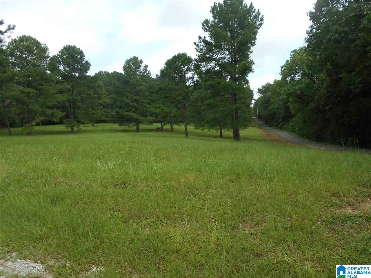 Turner Road Dora, AL 35062 - Photo 4 of 4 Gallery Image 4