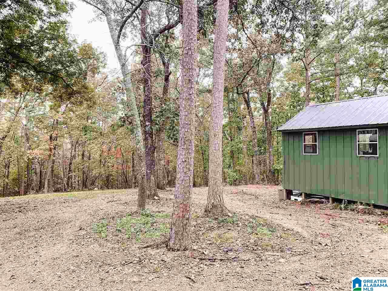 281 Colvin Springs Road Ashville, AL 35953 - Photo 11 of 34
