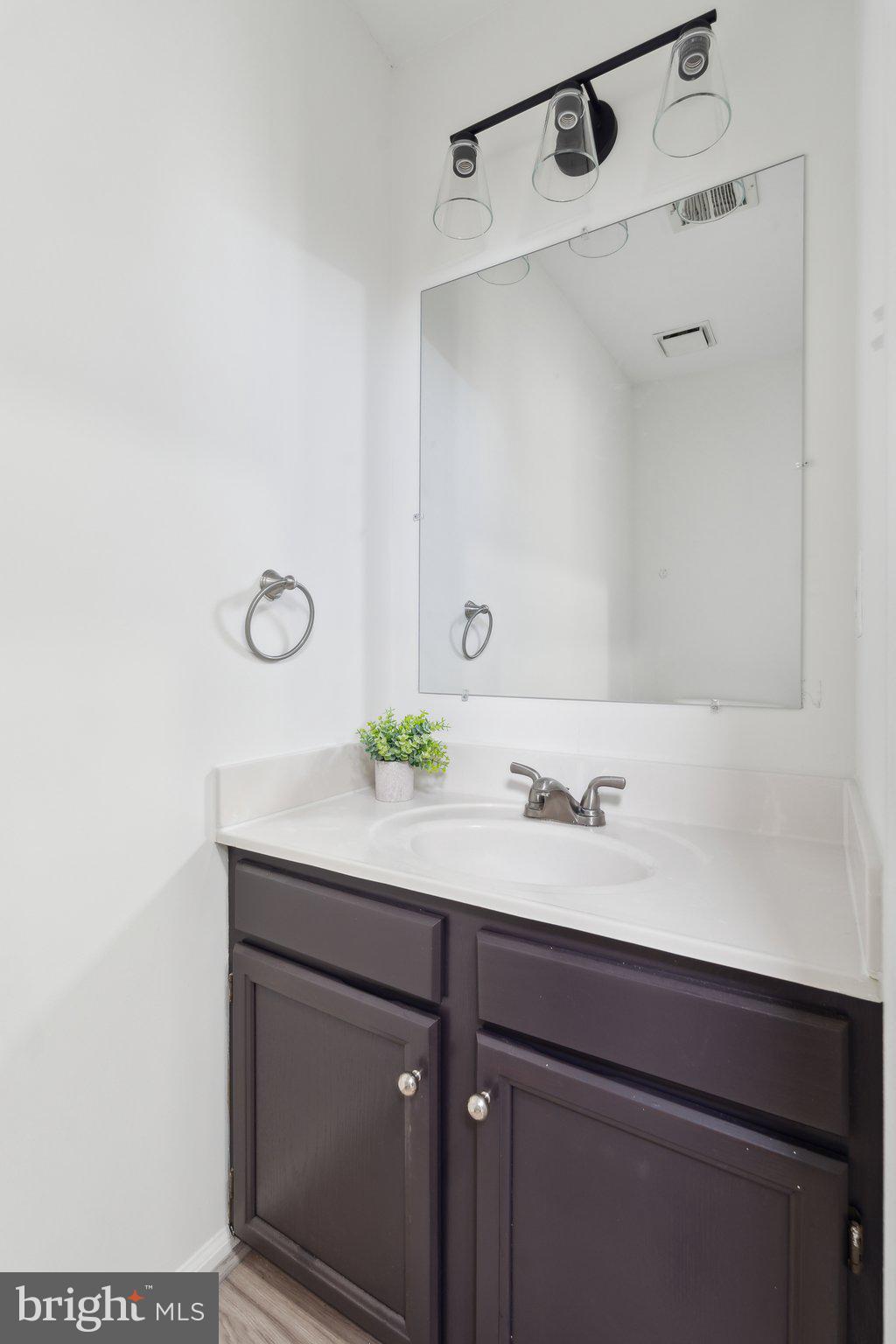 46924 Rabbitrun Terrace Sterling, VA 20164 - Photo 17 of 38 a bathroom with a sink and a mirror
