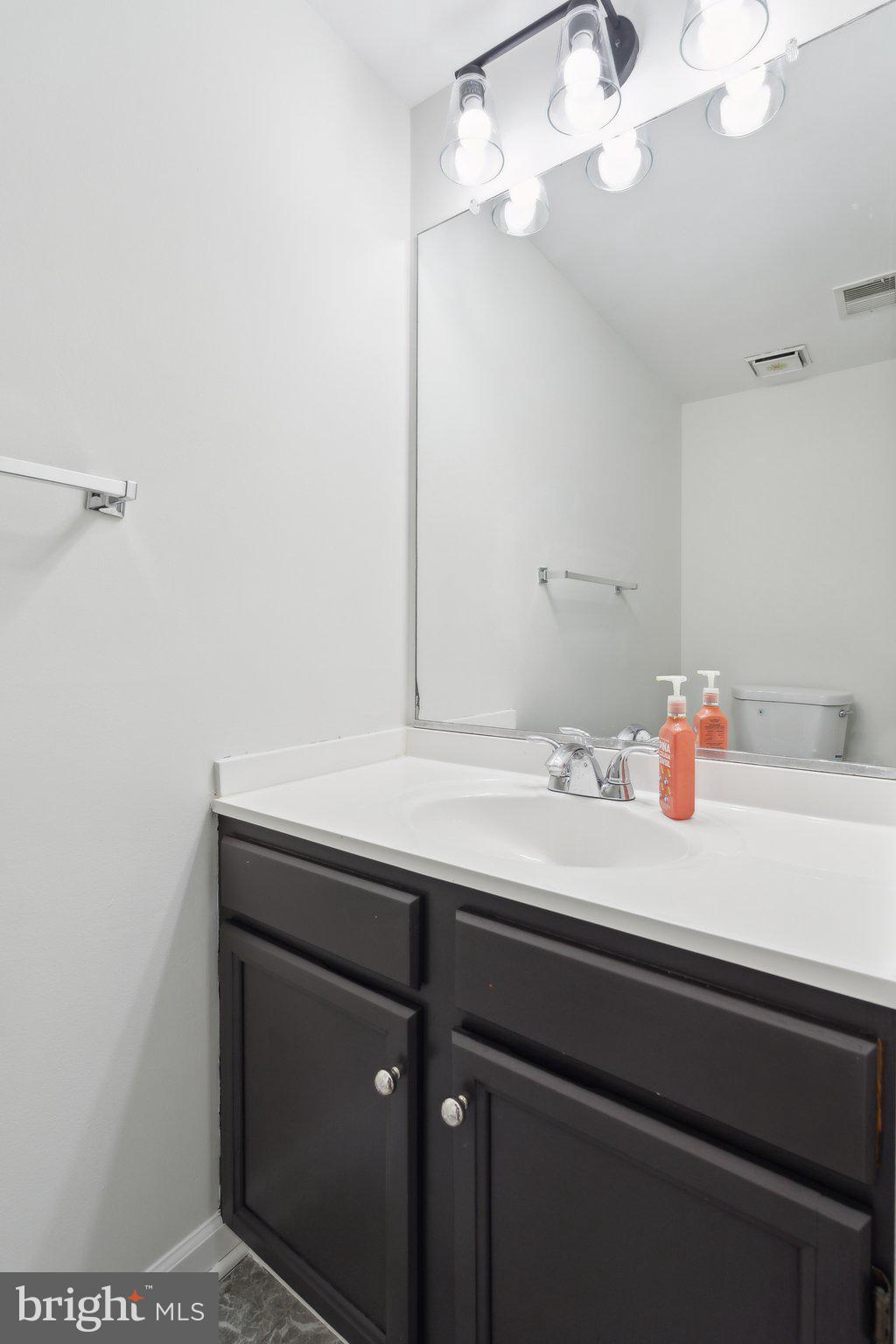 46924 Rabbitrun Terrace Sterling, VA 20164 - Photo 33 of 38 a bathroom with a sink and a mirror