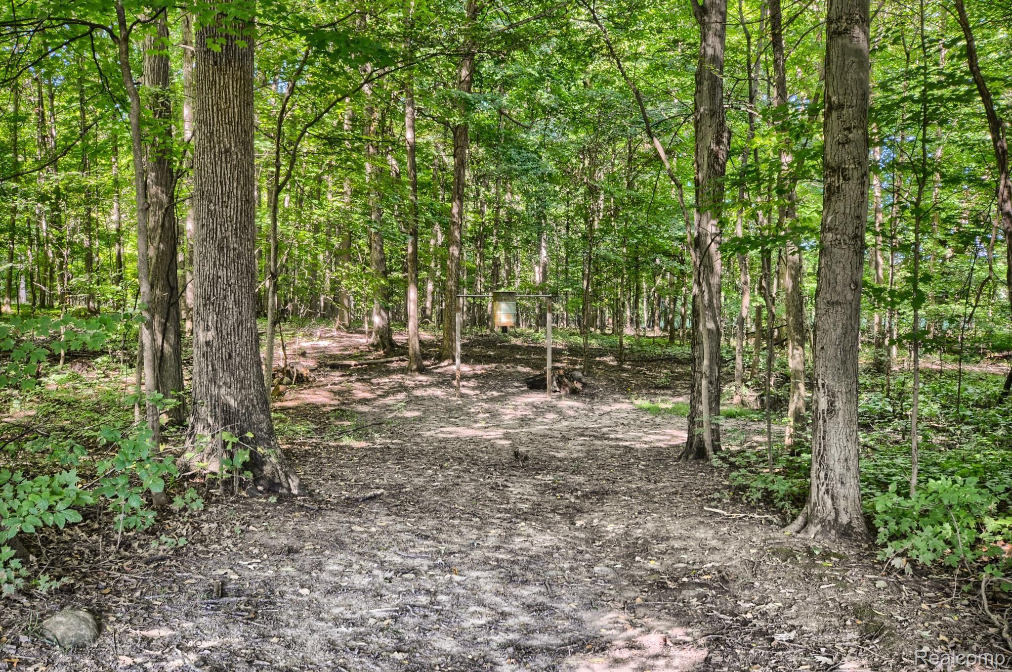 2258 South Lake George Road Metamora, MI 48455 - Photo 62 of 80 SD3_4222-HDR(5).jpg