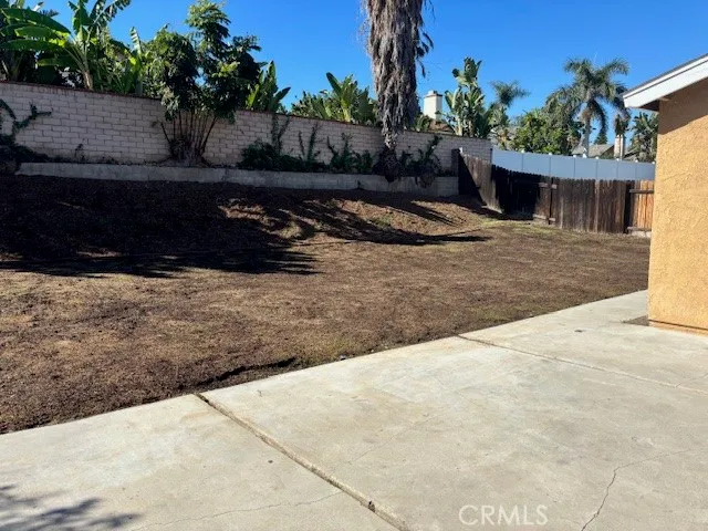 a view of a backyard with plants and palm tree
