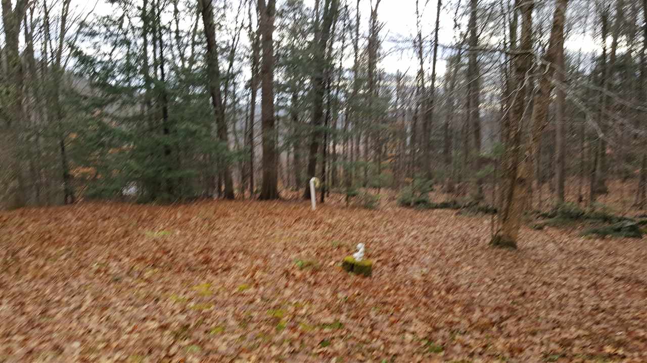 209 Chaisson Road Plymouth, NH 03264 - Photo 14 of 29 Gallery Image 14