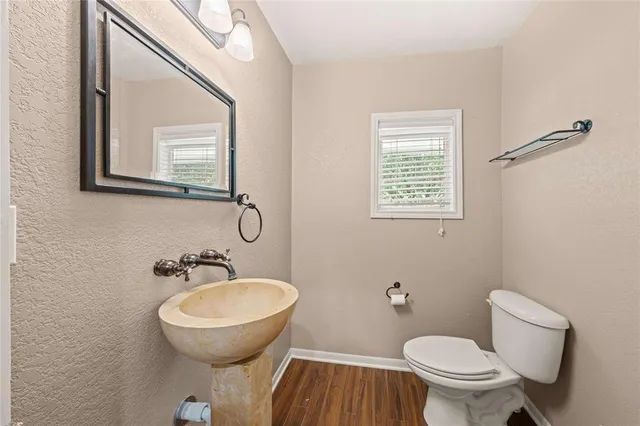 a view of a yard with plants and trees