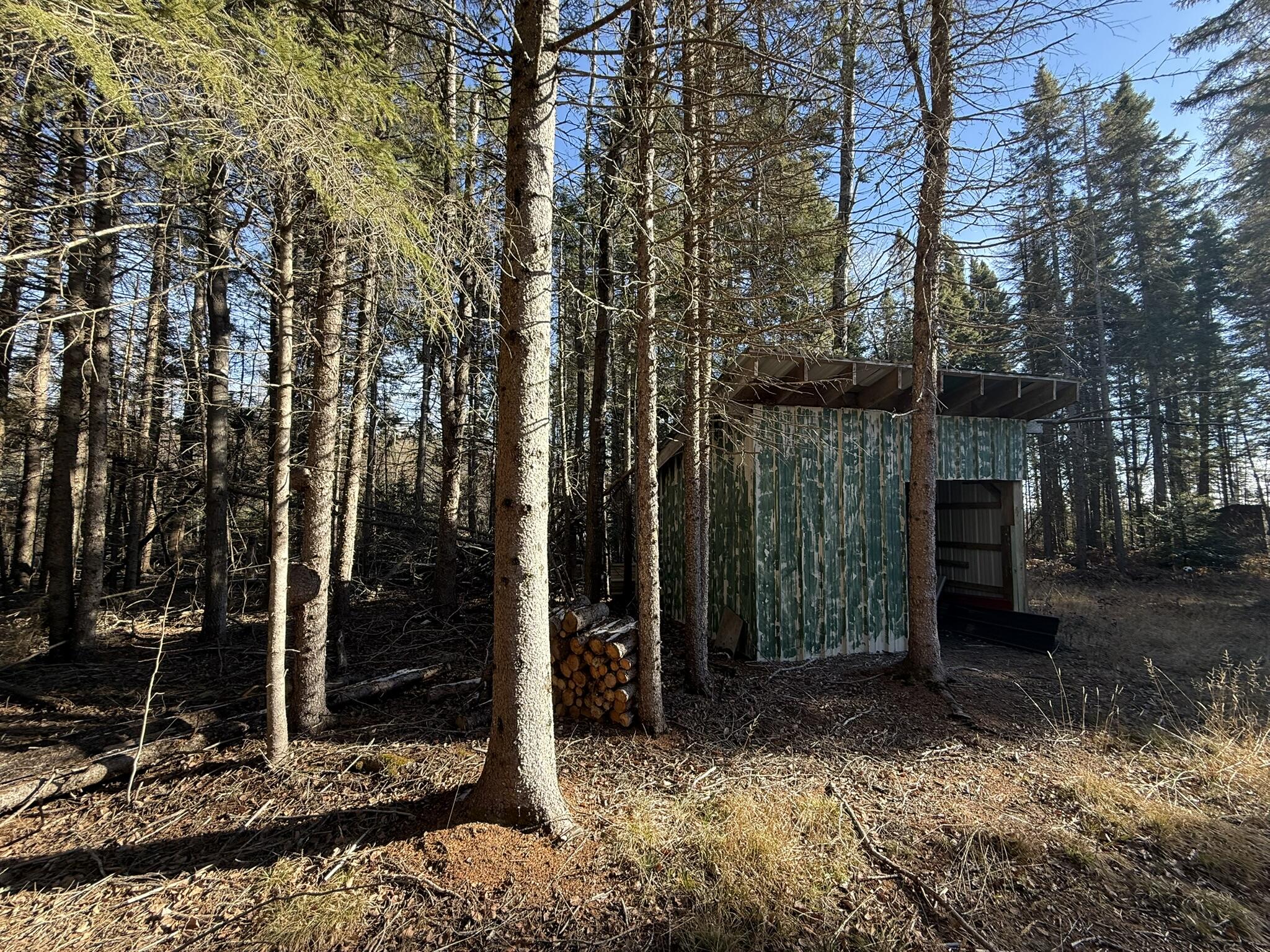 0 South Hendrie River Road Hulbert, MI 49748 - Photo 14 of 60 IMG_2818