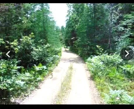$199,999 | 0 South Hendrie River Road, Hulbert, MI 49748