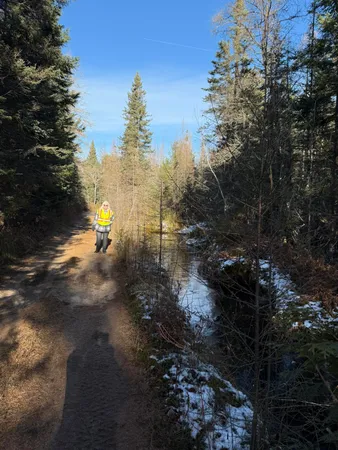 $199,999 | 0 South Hendrie River Road, Hulbert, MI 49748
