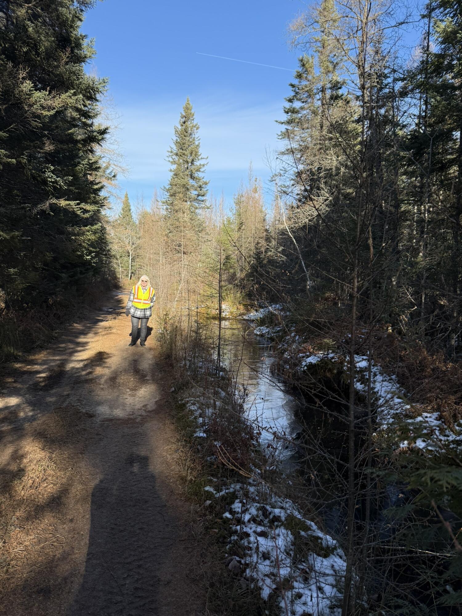 0 South Hendrie River Road Hulbert, MI 49748 - Photo 48 of 60 IMG_2876