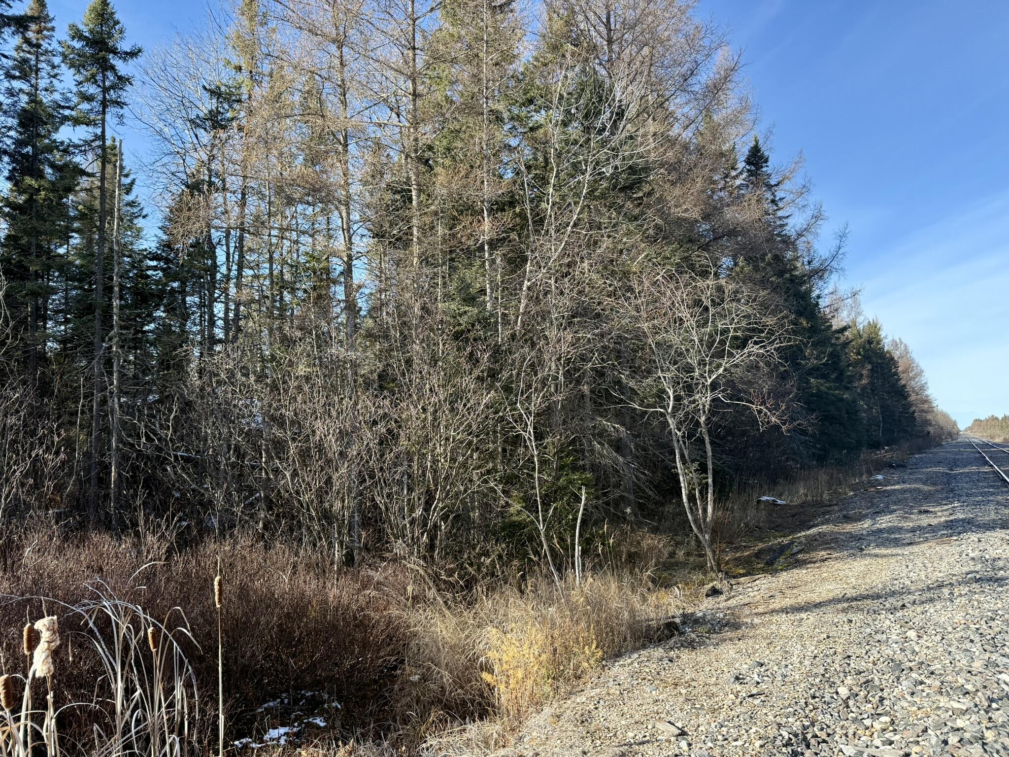 0 South Hendrie River Road Hulbert, MI 49748 - Photo 49 of 60 IMG_2816