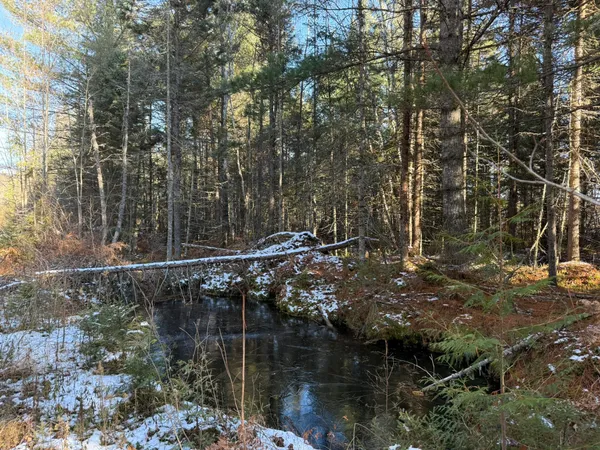 $199,999 | 0 South Hendrie River Road, Hulbert, MI 49748