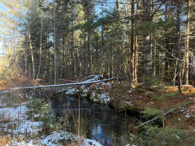 $199,999 | 0 South Hendrie River Road, Hulbert, MI 49748