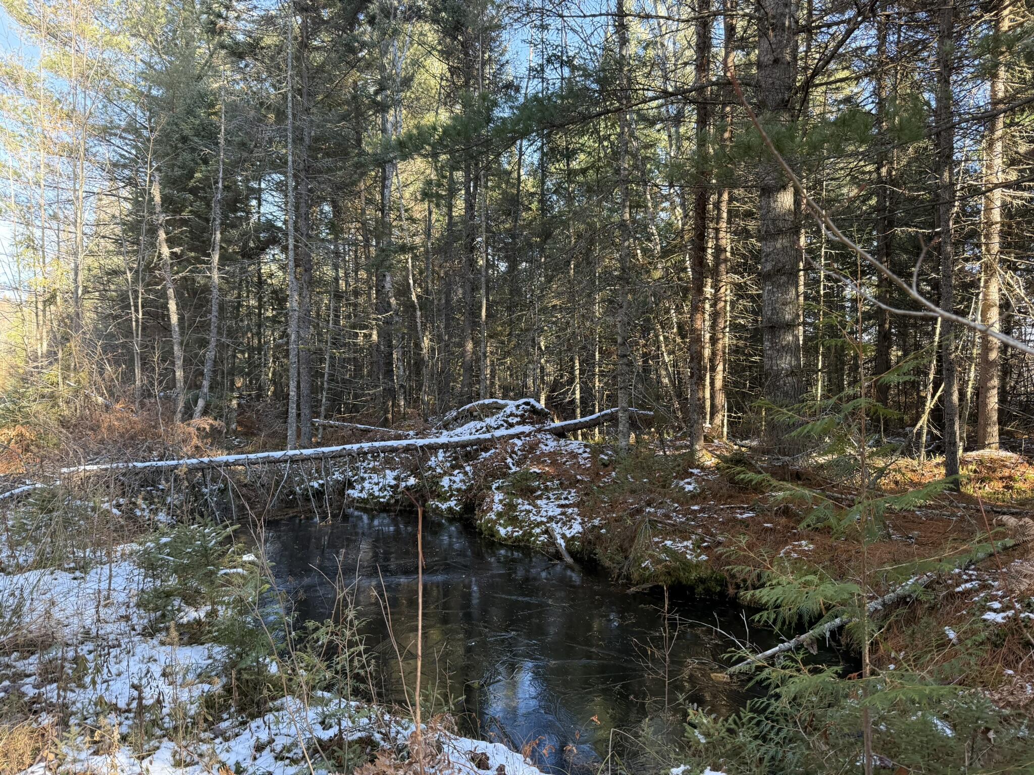0 South Hendrie River Road Hulbert, MI 49748 - Photo 50 of 60 IMG_2869