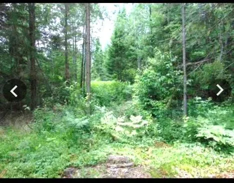 $199,999 | 0 South Hendrie River Road, Hulbert, MI 49748