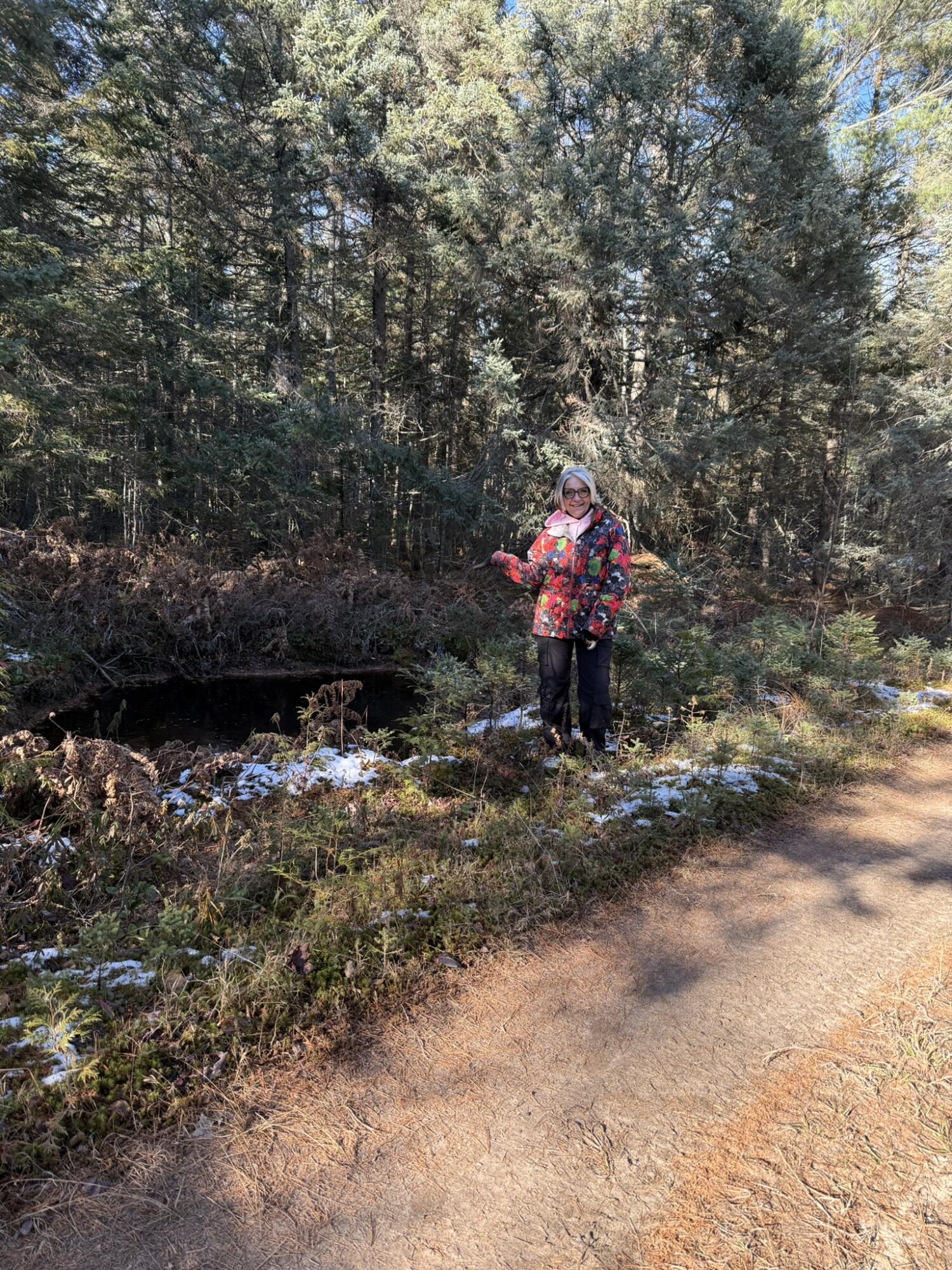 0 South Hendrie River Road Hulbert, MI 49748 - Photo 53 of 60 IMG_2872