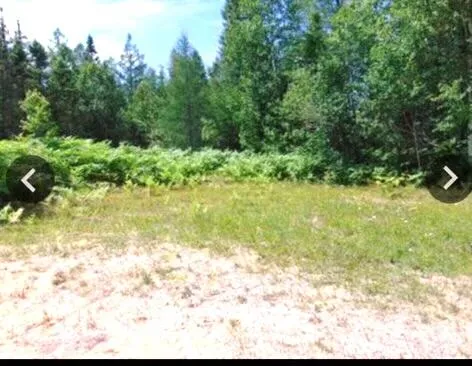 $199,999 | 0 South Hendrie River Road, Hulbert, MI 49748