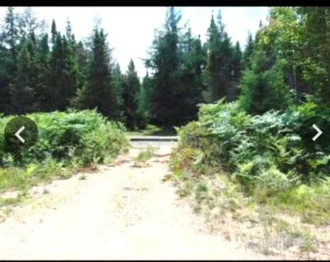 $199,999 | 0 South Hendrie River Road, Hulbert, MI 49748