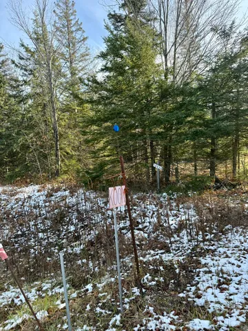$199,999 | 0 South Hendrie River Road, Hulbert, MI 49748