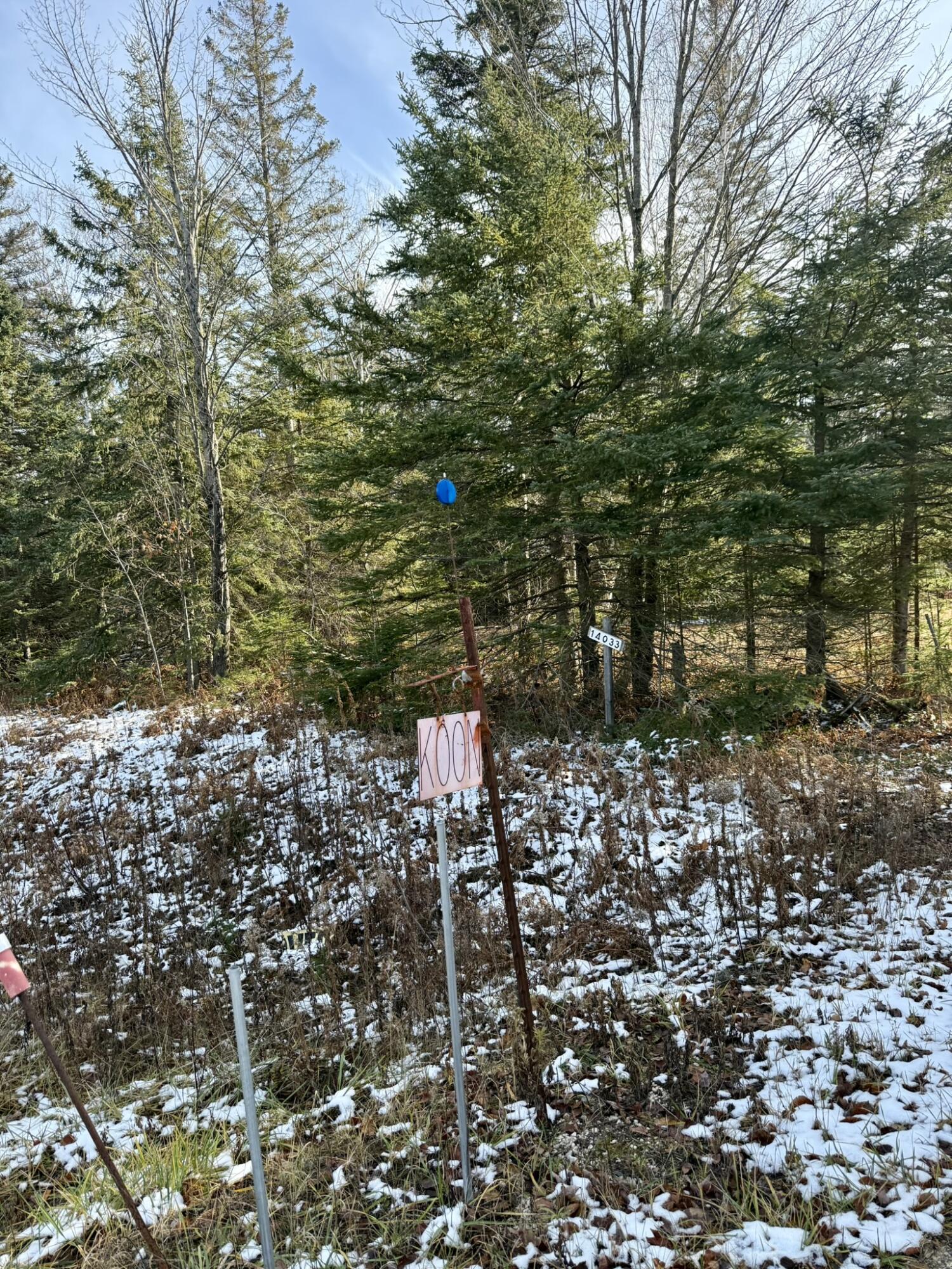 0 South Hendrie River Road Hulbert, MI 49748 - Photo 6 of 60 IMG_2809