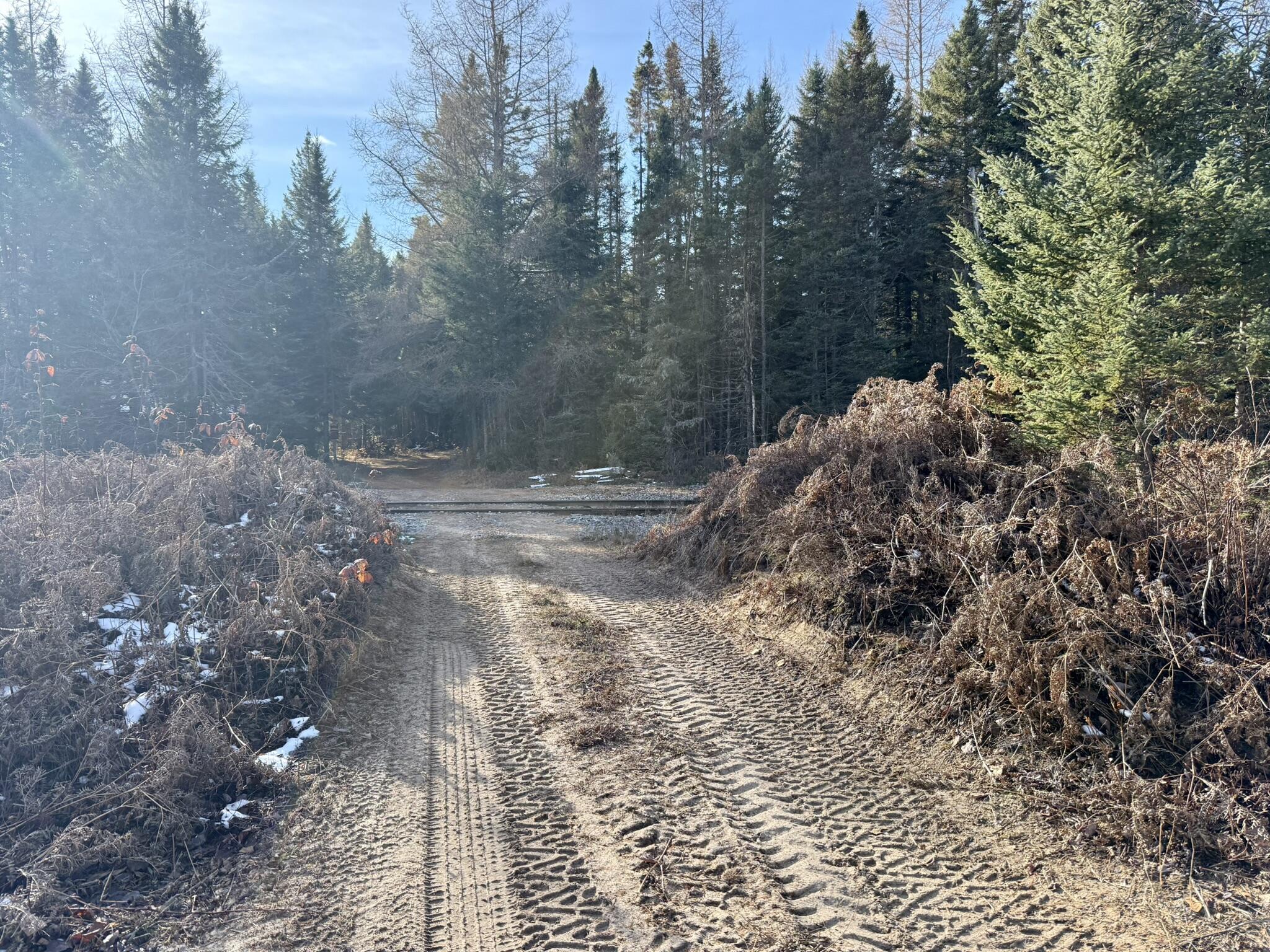 0 South Hendrie River Road Hulbert, MI 49748 - Photo 9 of 60 IMG_2811