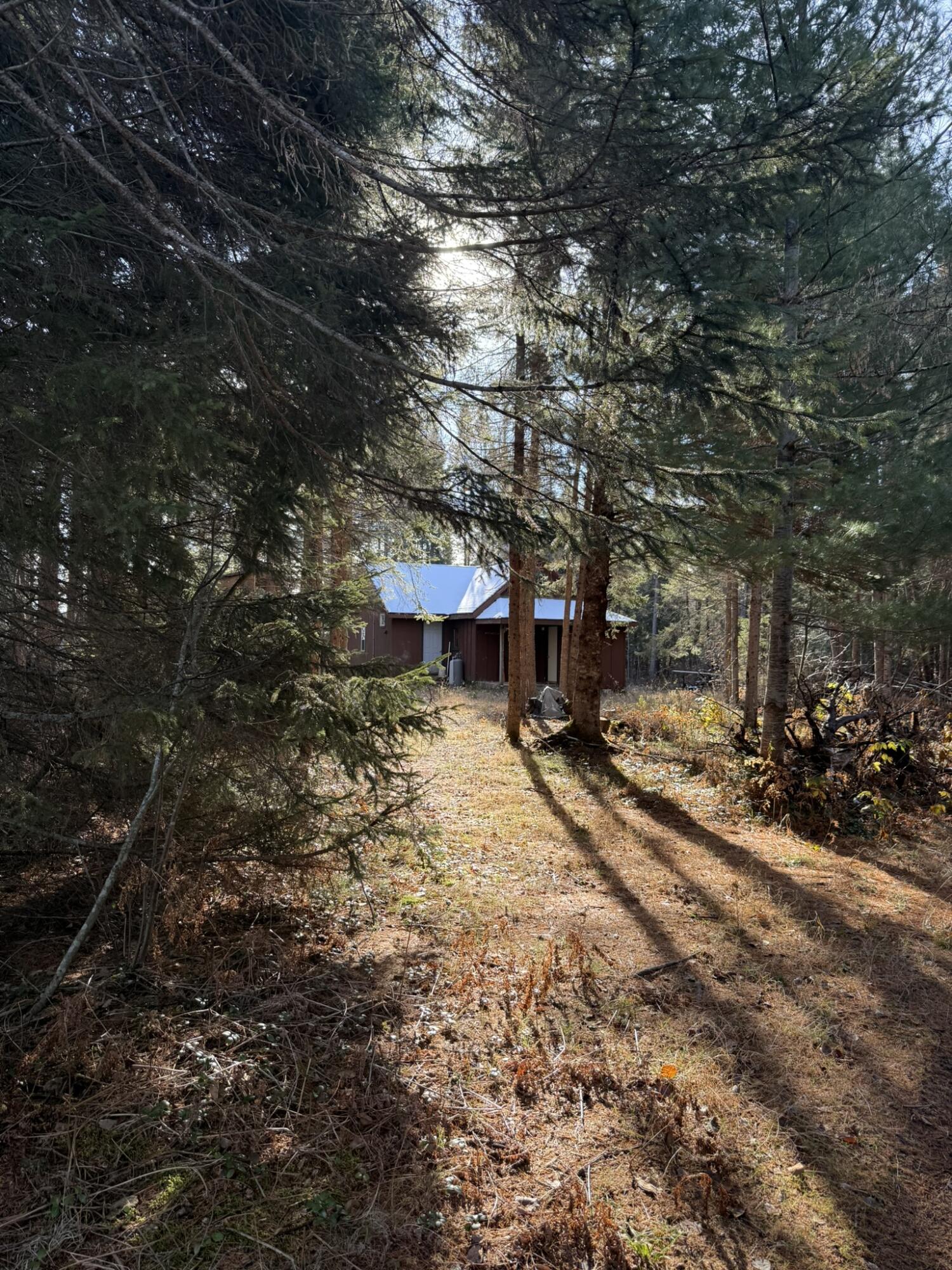 0 South Hendrie River Road Hulbert, MI 49748 - Photo 10 of 60 IMG_2813