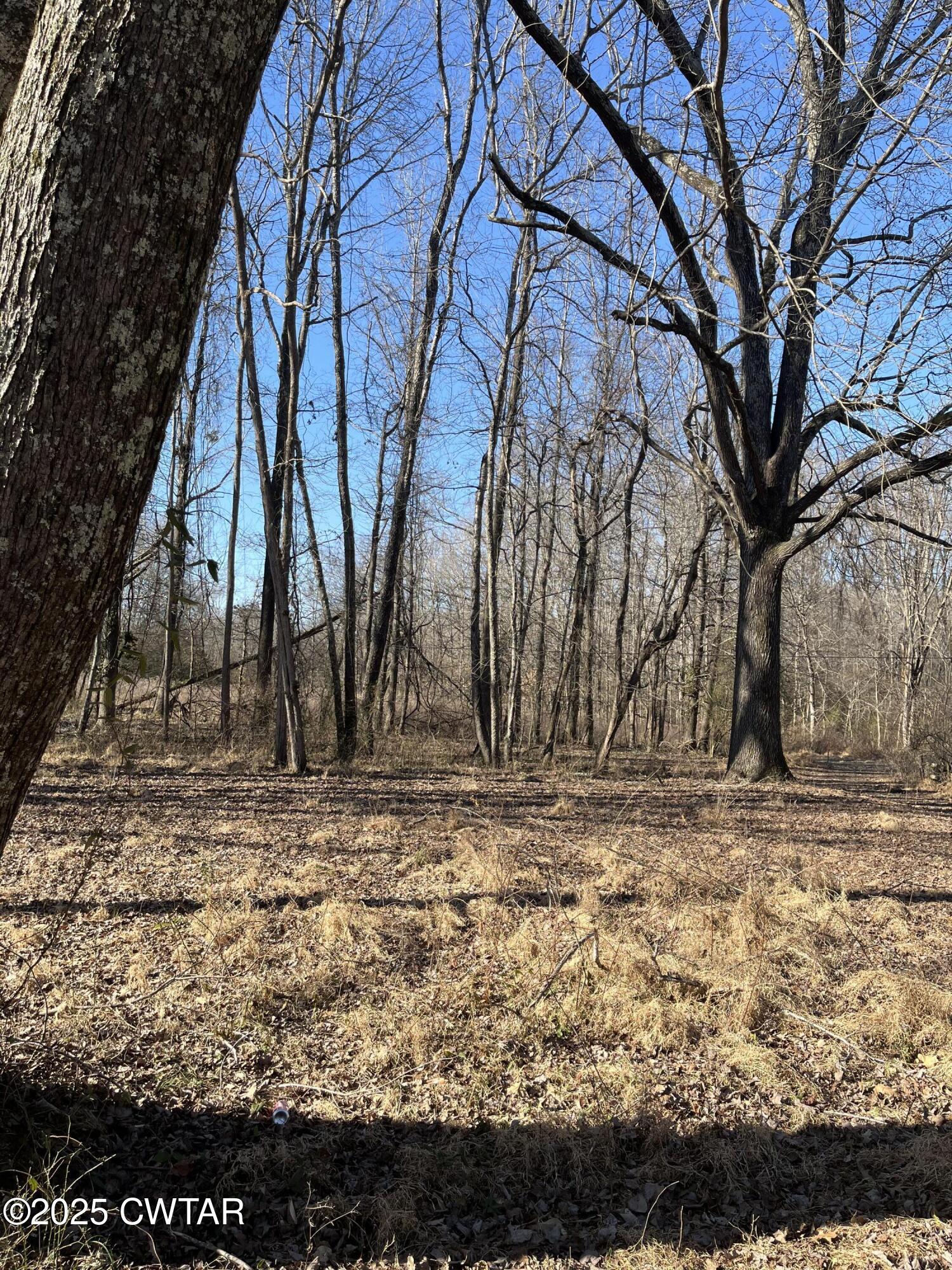 0 Sloan Road Springville, TN 38256 - Photo 2 of 2 IMG_0847 (1)