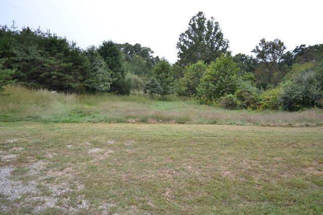 1528 Merriman Way Road Moneta, VA 24121 - Photo 21 of 21 back lawn